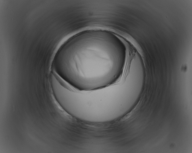 X0000093251388200710171415