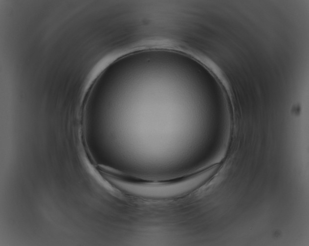 X0000093251389200710171415