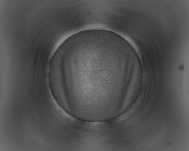 X0000093251390200710171415