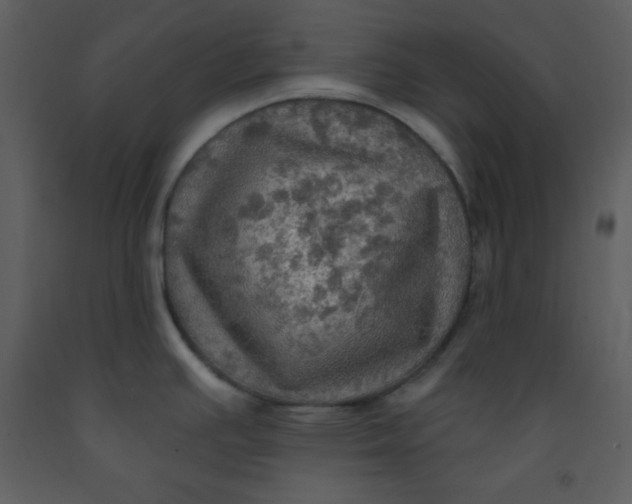 X0000093251391200710171415