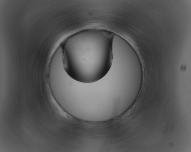 X0000093251392200710171415