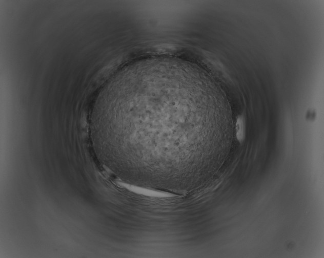 X0000093251395200710171414