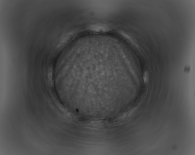 X0000093251396200710171414