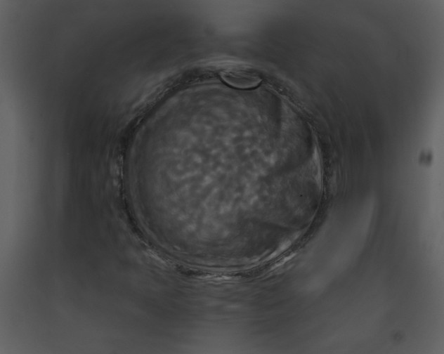 X0000093251397200710171414