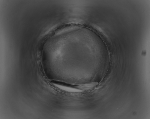 X0000093251399200710171414