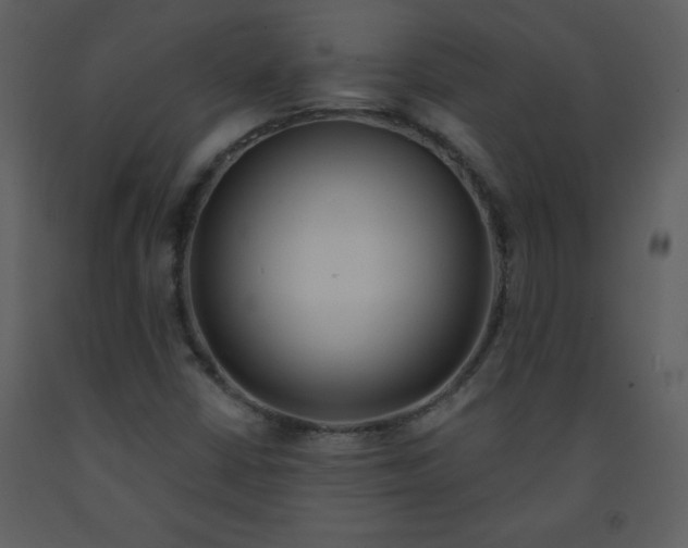 X0000093251402200710171414