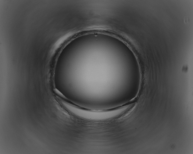 X0000093251406200710171414