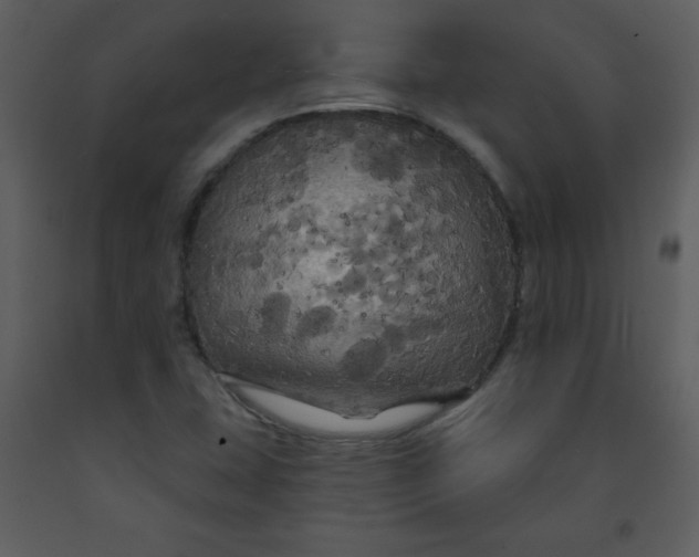 X0000093251407200710171414