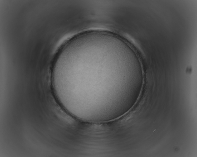 X0000093251408200710171414