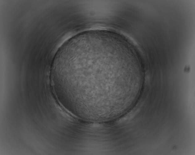 X0000093251409200710171415