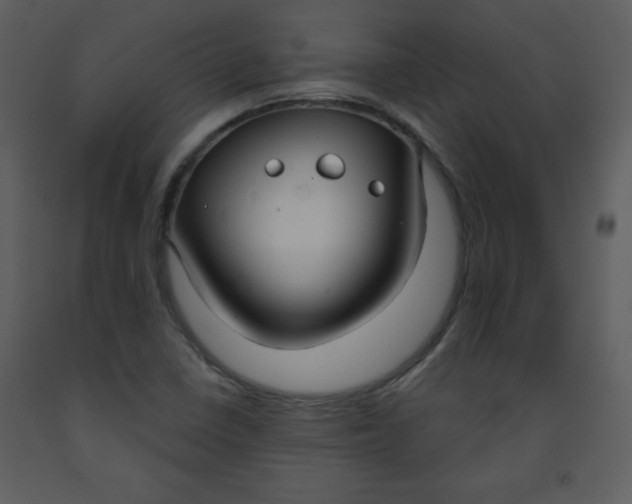 X0000093251410200710171415