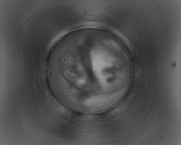 X0000093251411200710171415