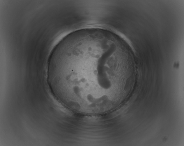 X0000093251415200710171415