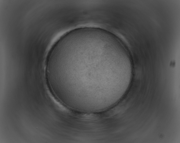 X0000093251416200710171415