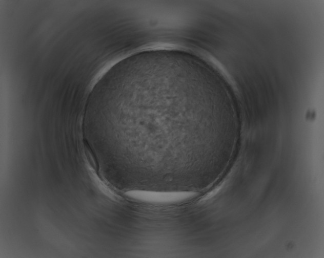 X0000093251417200710171415