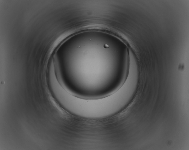 X0000093251418200710171415