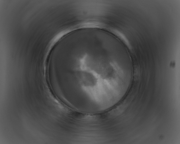 X0000093251419200710171415