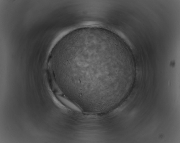 X0000093251421200710171415