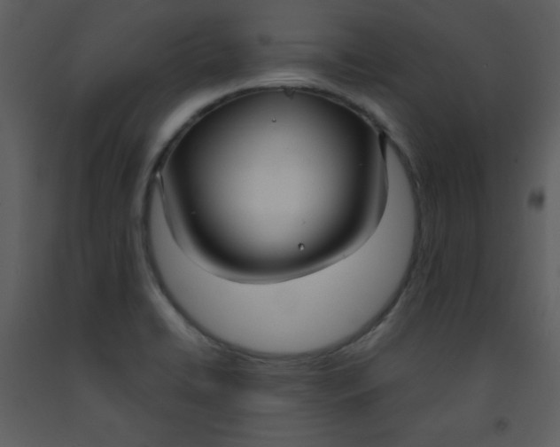 X0000093251422200710171415