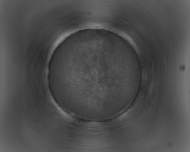 X0000093251424200710171415