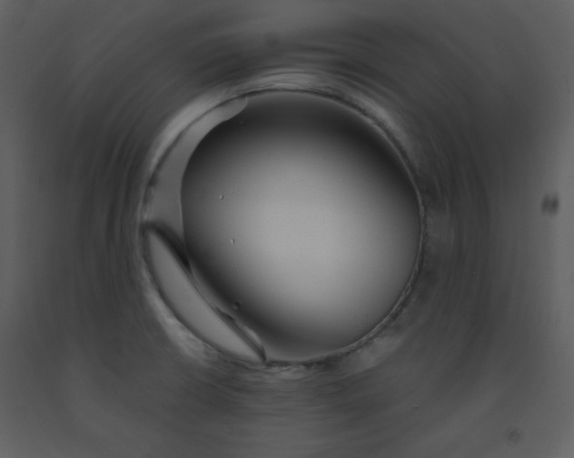 X0000093251426200710171415