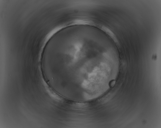 X0000093251427200710171415