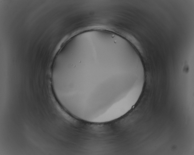 X0000093251428200710171415