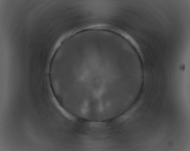 X0000093251429200710171415