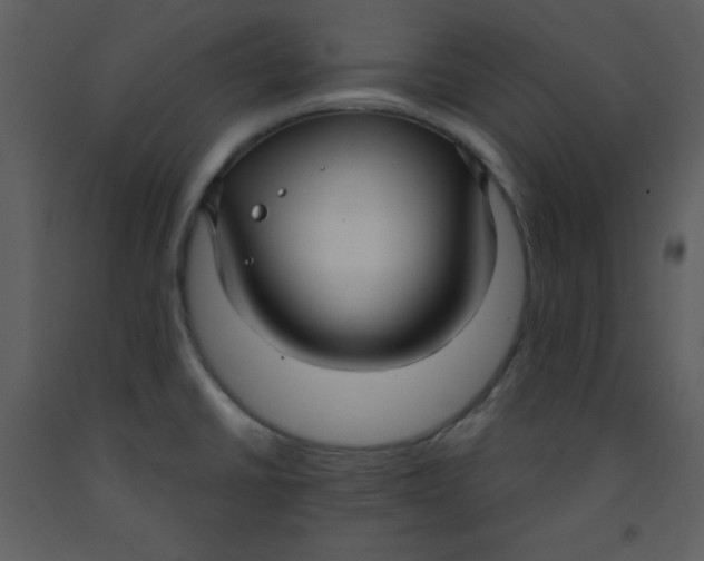 X0000093251430200710171415