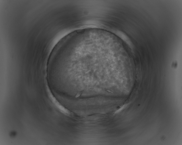 X0000093251431200710171415