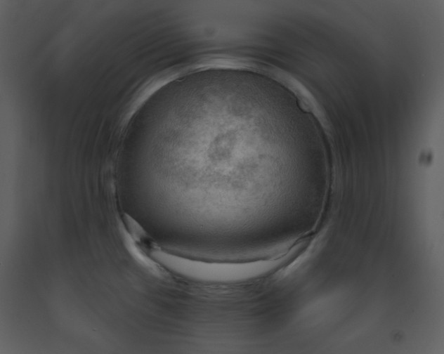 X0000093251433200710171415