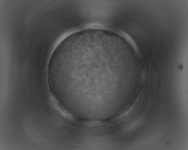 X0000093251435200710171415