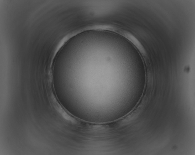 X0000093251436200710171415