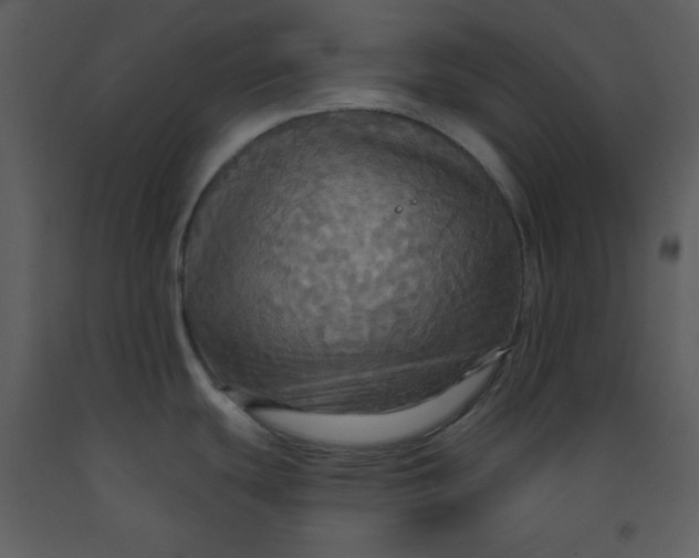 X0000093251439200710171415