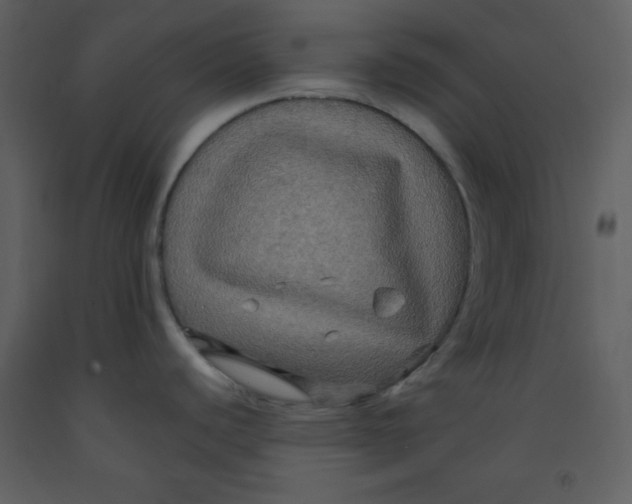 X0000093251440200710171415