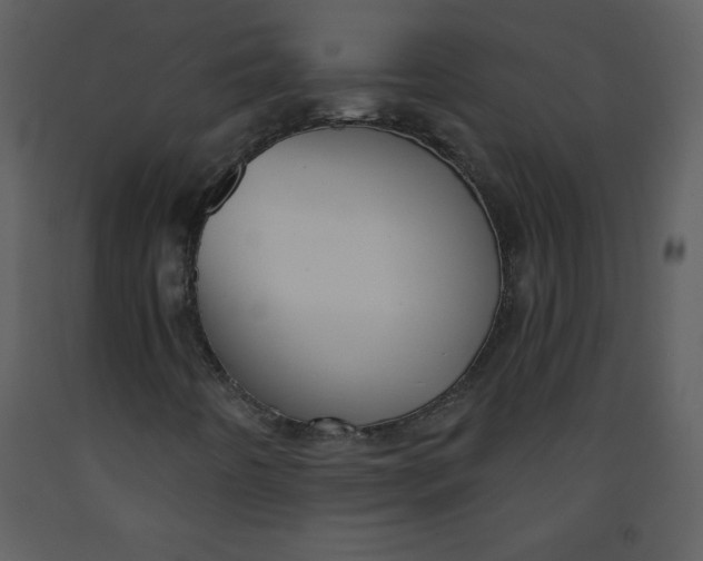 X0000093251442200710171414