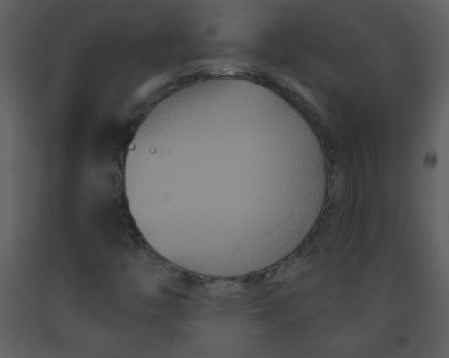 X0000093251446200710171414