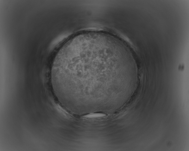 X0000093251448200710171414