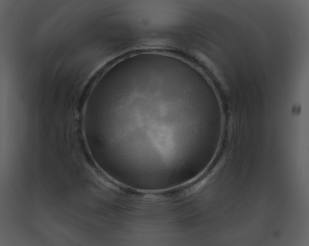 X0000093251449200710171414