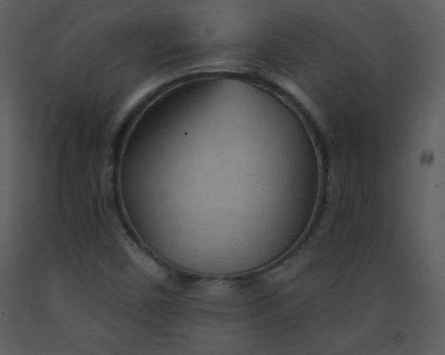 X0000093251450200710171414