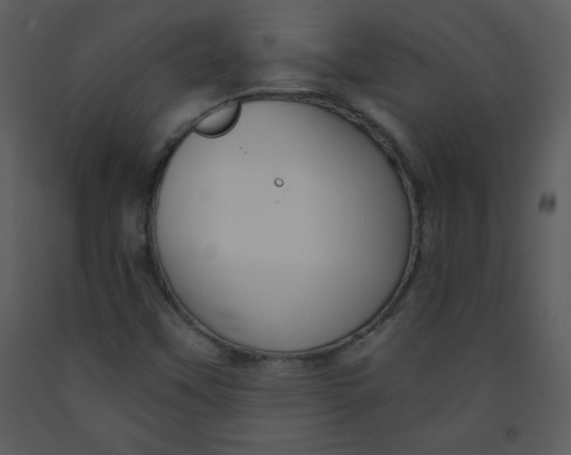 X0000093251451200710171414