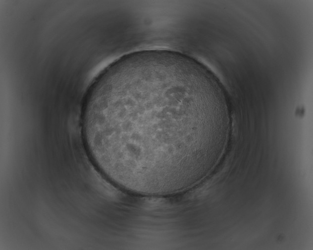 X0000093251452200710171414