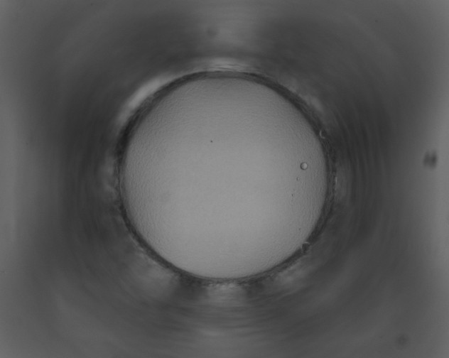 X0000093251454200710171414