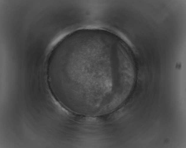 X0000093251456200710171414