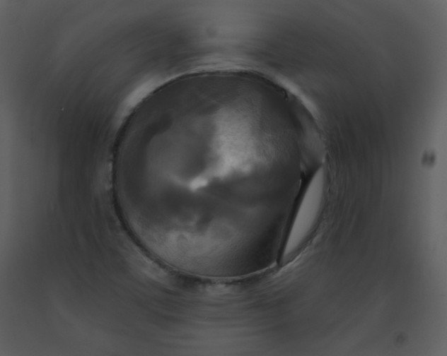 X0000093251459200710171414