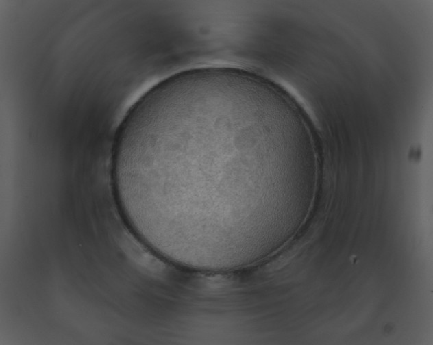 X0000093251460200710171414