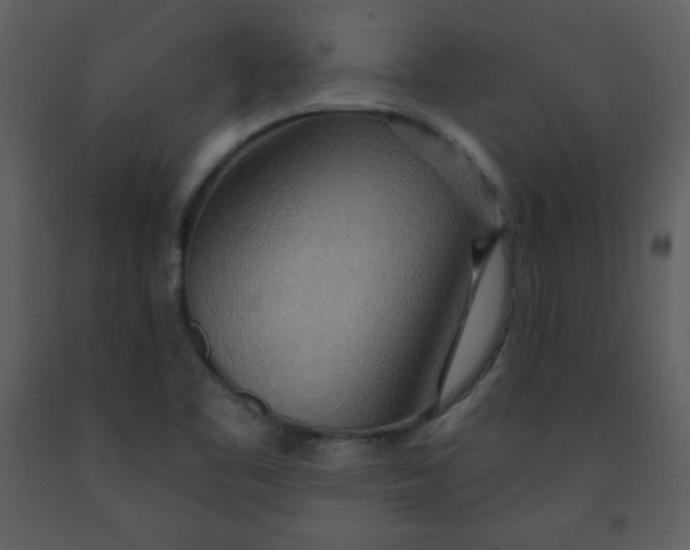 X0000093251461200710171414