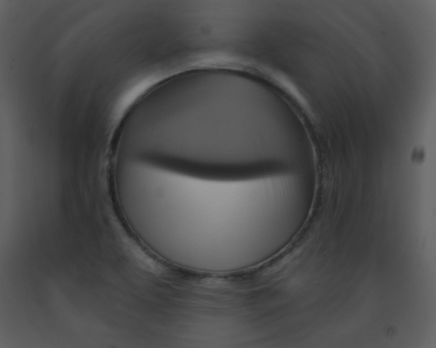 X0000093251463200710171414