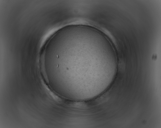 X0000093251464200710171414