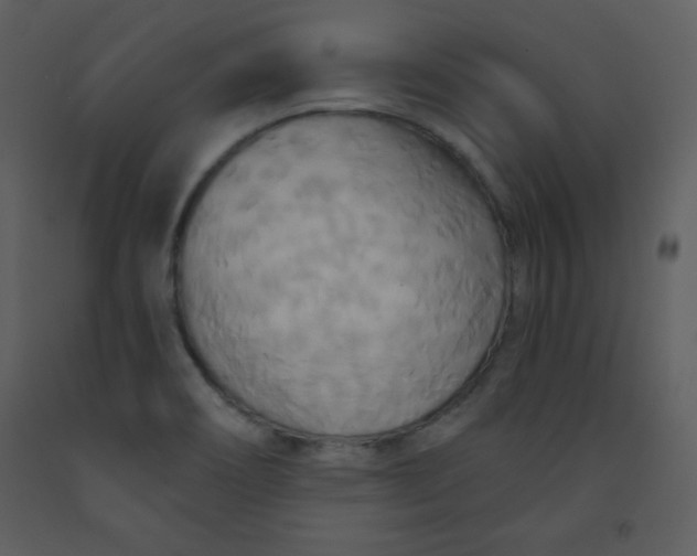 X0000093251466200710171414